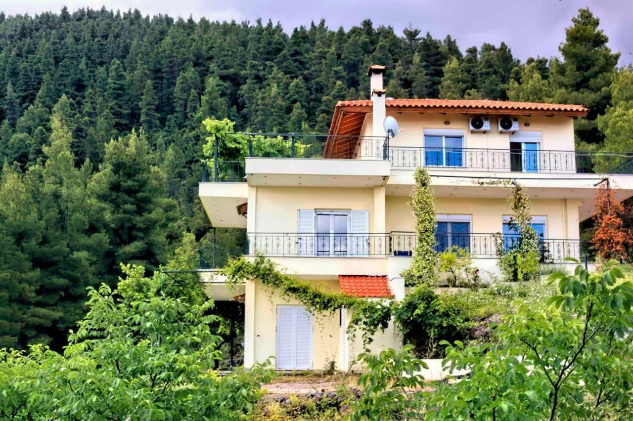 Dream House Capturing The Magic Of Nature Vlachia Exterior photo